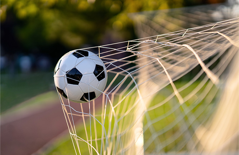 Soccer ball in net