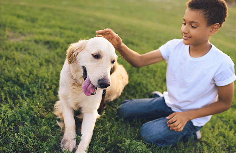 Boy petting dog